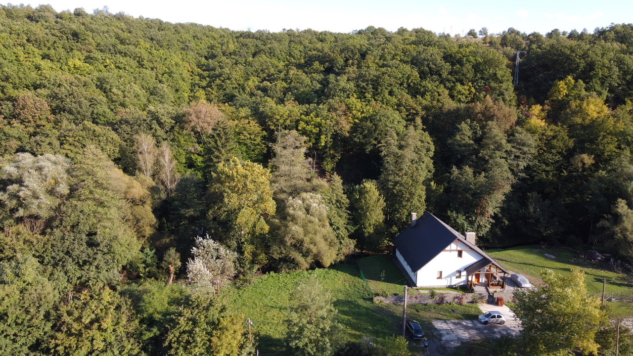 Törökpatak telek 1