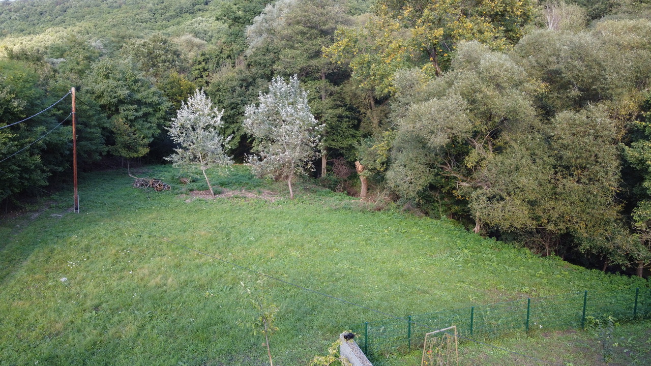 Téli táj