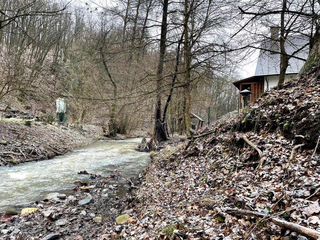 Erdőkoszorú